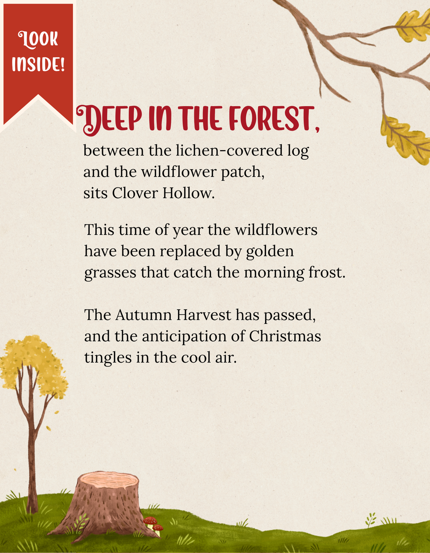 Curtis The Snail & The Lost Christmas Letter