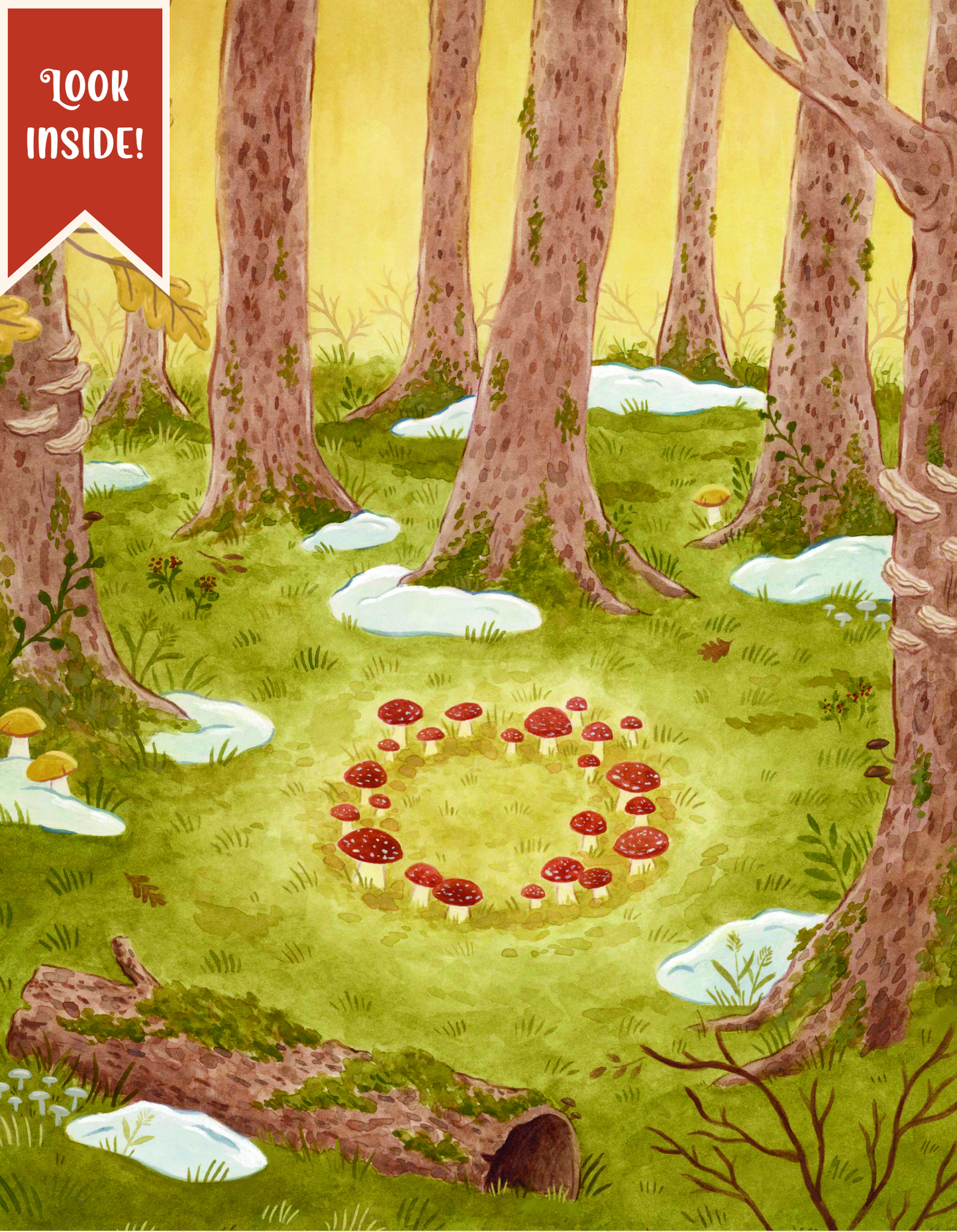 Curtis The Snail & The Lost Christmas Letter