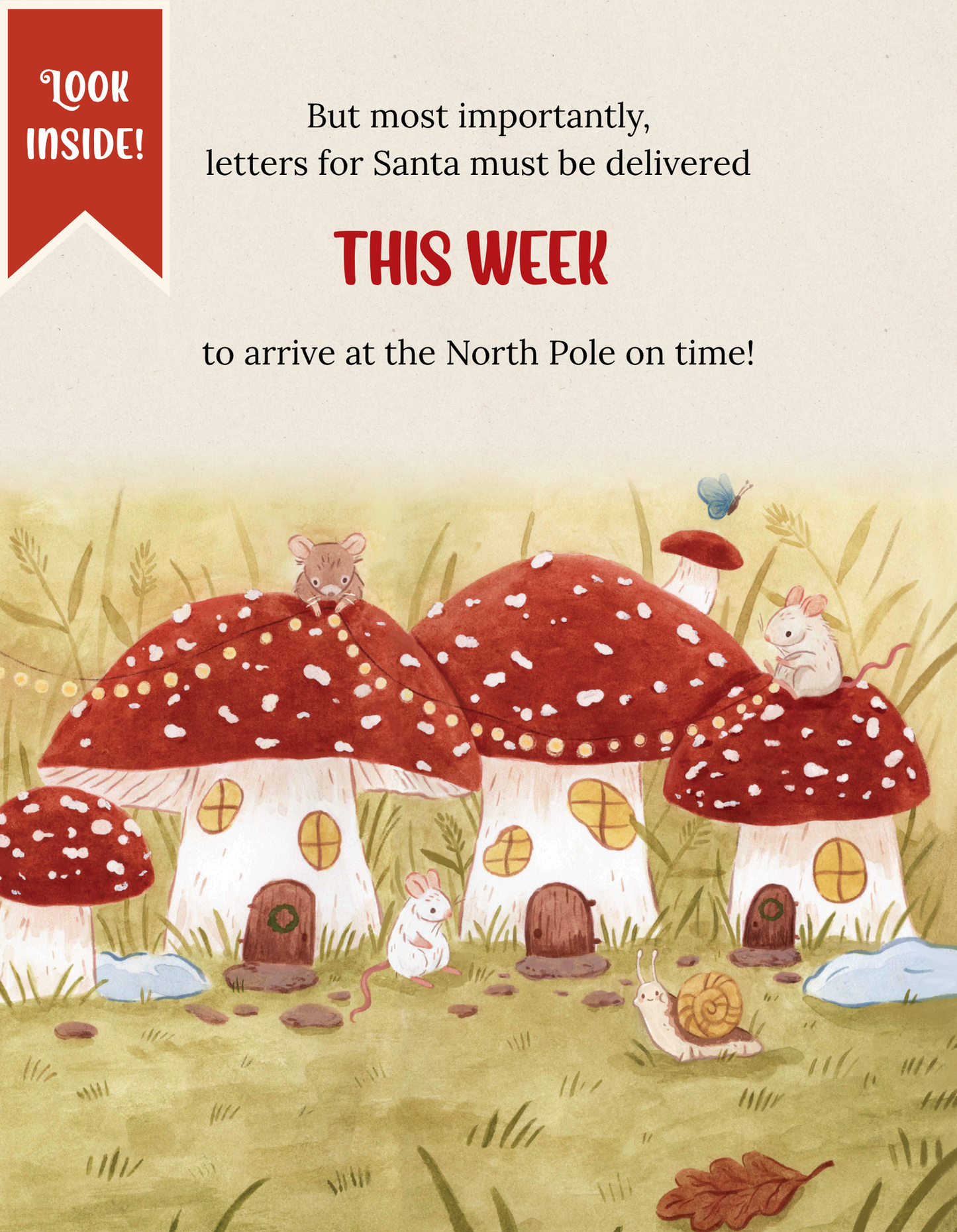 Curtis The Snail & The Lost Christmas Letter